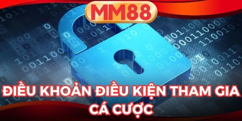 điều khoản điều kiện